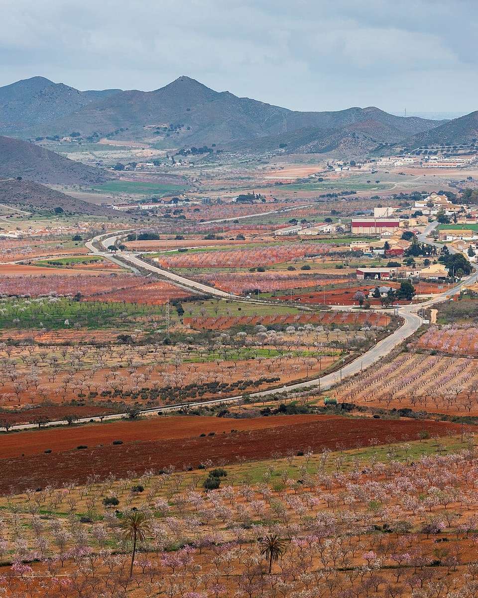 Campos de cultivo de tierra roja y casas dispersas en Campo Nubla, Cartagena, con montes al fondo