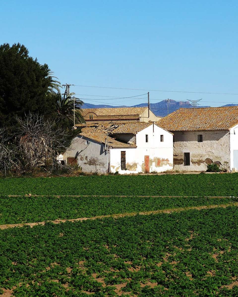Alquerías blancas tras un campo de cultivo en el Racó de l'Anell, en la huerta de València