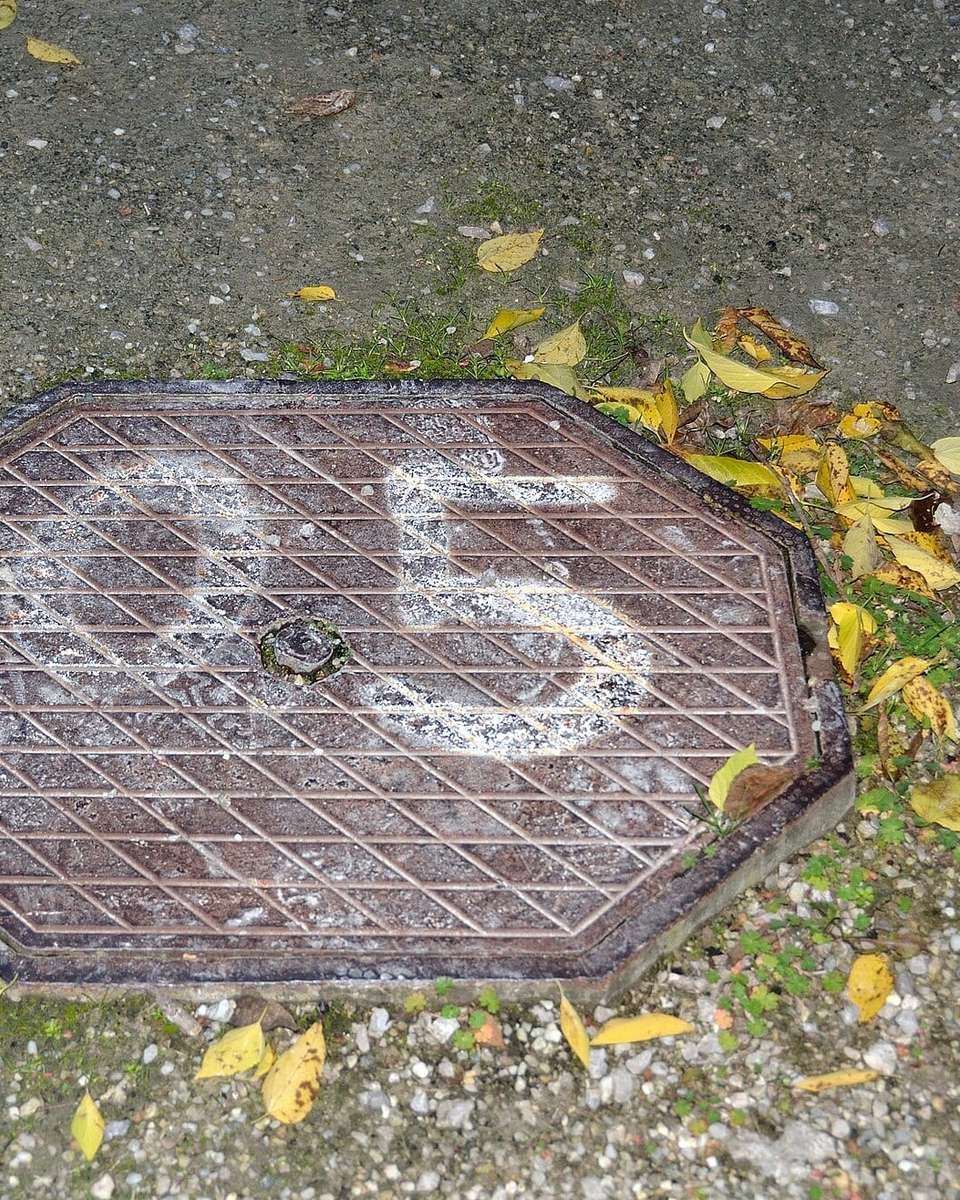 Tapa de registro octogonal en el suelo de un jardín, rodeada de hojas secas